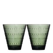 iittala - Kastehelmi Tumbler 30 cl 2-pack Tallgrön