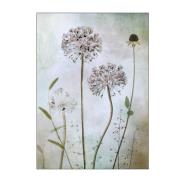 Poster & Frame - Mandy Disher poster 50x70 cm allium