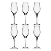 Orrefors - Sense Champagneglas 25,5 cl 6-pack