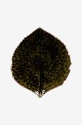 COSTA NOVA - Serveringsfat Hydrangea 17cm - Grön - Uppläggningsfat - F...