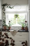 Hasta - Roman Blind Linnéa höjd 160 cm - Vit - Hissgardiner - Från Hom...