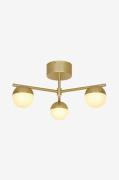 Nordlux - Taklampa Contina - Mässing - Spotlights - Från Homeroom