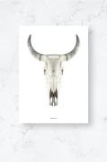Malerifabrikken - Poster / Cow skull / Plano - Vit - Posters - Från Ho...
