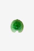COSTA NOVA - Serveringsfat Alchemille Leaf - Grön - Uppläggningsfat - ...