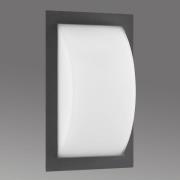 LCD Ivett utomhusvägglampa, grafit, E27, glas