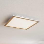 Prios Dinvoris LED-panel, CCT, 40 x 40 cm