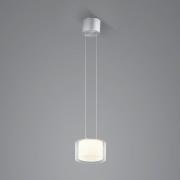 BANKAMP Grand Clear LED-pendellampa, 1 fl, Ø 20 cm