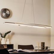 BOPP Oval LED-hänglampa Flair, aluminium