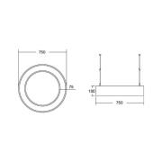 BRUMBERG Biro Circle Ring10 direkt Ø 75 cm DALI svart 840