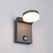 Trio Lighting LED-utomhusvägglampa Adour, antracit, sensor, tiltbar, C...