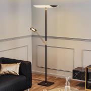Rothfels Charlin LED-uplight-golvlampa svart mässing