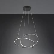 Trio Lighting Hänglampa Darvin längd 84 cm svart matt metall CCT