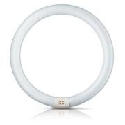 Philips G10q 22W 865 lysrörsring Master Circular TL-E