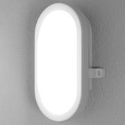 LEDVANCE Bulkhead LED-utomhusvägglampa 11W i vitt