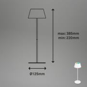 Briloner LED-bordslampa Kiki med uppladdningsbart batteri RGBW, vit