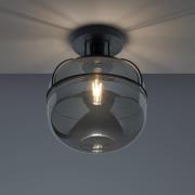 Trio Lighting Lorena taklampa med glasskärm, matt svart