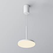 Maytoni LED-hänglampa Plato, vit, Ø 18,5 cm, aluminium