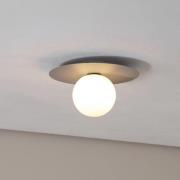 TK Lighting Taklampa Pixie, grå, glas, Ø 25 cm, kula, G9