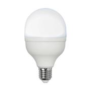 STAR TRADING LED-lampa E27 20W 6 500 K 2 700 lumen, rund