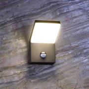 Deko-Light LED-utomhusvägglampa Tucanae, grå, höjd 22 cm, IP54