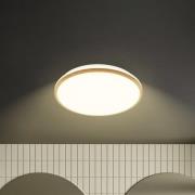 Briloner LED-taklampa Acorus, Ø 33 cm, vit/träfärgad, IP44