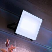 Philips utomhus LED-spot Lois UE flood, 24 W, 5 000 K, IP65
