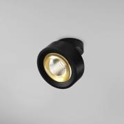 Egger Licht EGG DLS LED-spot Clippo Optic, svart/guld, Ø 12 cm, DTW