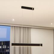 Paulmann Smart LED-hänglampa Jagun, antracit, 100 cm, filt