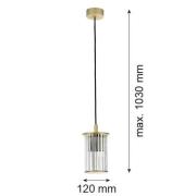 Argon Utomhushänglampa Nora, guld/transparent, IP44, glas