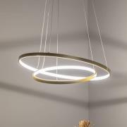 Eko-Light HOOP LED-hänglampa, 51 W, Ø 60 cm, 4.000 K, guld