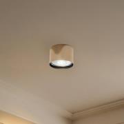 Argon Takspotlight Chloe fast, stål mässingsfärgad