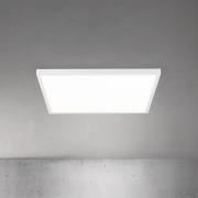 ORION LED-taklampa Disc, vit, längd 60 cm, CCT, metall