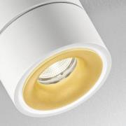 Egger Licht EGG DLS LED-takspotlight Clippo S Duo, 2 lampor, vitguld