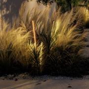 Wever & Ducré Lighting WEVER & DUCÉ LED-markspettslampa Reed 1.0 brons...