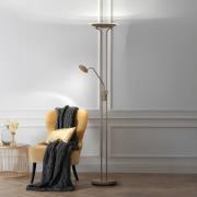 FISCHER & HONSEL LED-golvlampa Tallri, greige Höjd 180 cm 2 lampor CCT...