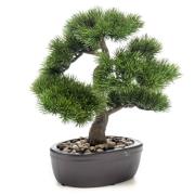 Emerald Konstväxt bonsai tall med brun kruka 32 cm