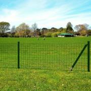 vidaXL Eurofence stål 10 x 0,8 m grön