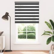 Rullgardin randig svart 120 x 230 cm transparent
