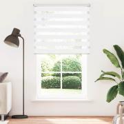 Rullgardin randig vit 120 x 230 cm transparent