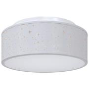 vidaXL Taklampor med Stjärnformad Lampskärm Grå Ø 30 cm E27