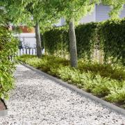 vidaXL Kant för gräsmatta 30 pcs Silver 100 x 0,05 x 20 cm