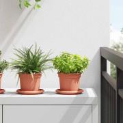 vidaXL Rund Blomkruka 24 pcs Murgrön Ø 12,5 x 10 cm Plast