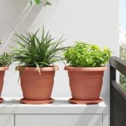 vidaXL Rund Blomkruka 6 pcs Murgrön Ø 22 x 18 cm Plast