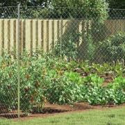 vidaXL Kedjelänk Stängsel Galvaniserad 2 x 20 m Glas