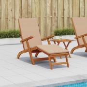 vidaXL Reclining och Fällbar Solstol 55 x 146 x 91 cm