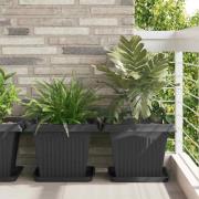 vidaXL Fyrkantig Blomkruka 6 pcs Svart 36 x 36 x 2.5 cm Plast