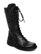 ANGULUS Boots - Flat - With Laces Svart