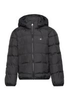 GANT Light Padded Shield Jacket Svart