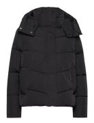 Calvin Klein Modern Padded Jacket Svart