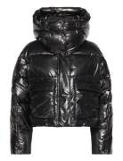 Calvin Klein Jeans High Shine Puffer Svart